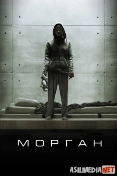 Морган / Morgan Tas-IX