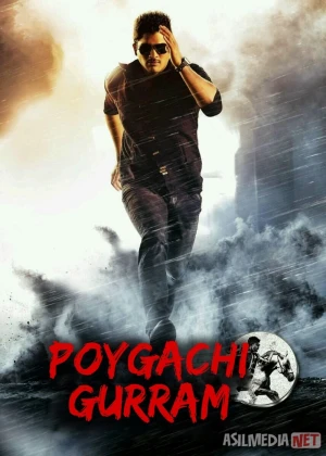 Poygachi Gurram / Shamoldan o‘zib Hind kino 2014 Uzbek tilida O'zbekcha tarjima kino Full HD tas-ix skachat