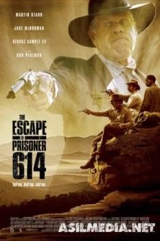 Побег заключённого 614