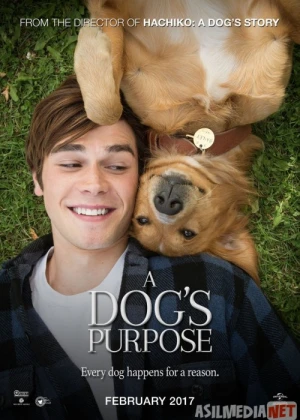 Itning Hayoti 1 / Itning maqsadi 1 Uzbek tilida 2017 O'zbekcha tarjima kino HD