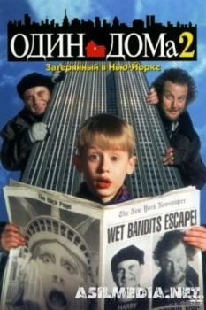 Один дома 2