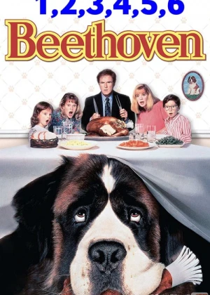 Betxoven / Bethoven kuchuk 1, 2, 3, 4, 5, 6 Uzbek tilida 1992-2008 O'zbekcha tarjima kino HD