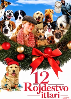 12 Rojdestvo itlari / Rojdestoning 12 iti 2004 Uzbek tilida O'zbekcha tarjima kino Full HD tas-ix skachat