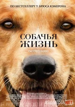 Sadoqat timsoli Uzbek tilida 2017 O'zbekcha tarjima film Full HD skachat