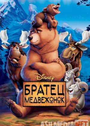 Inim ayiq Uzbek tilida multfilm 2003 O'zbek tarjima kino HD