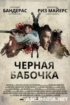 Черная бабочка