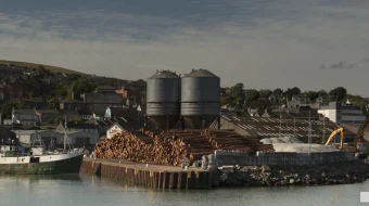 Dengiz parazitlari Uzbek tilida 2019 O'zbek tarjima tas-ix skachat skrinshot 4