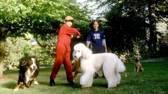 Mening sodiq do'stim Uzbek tilida 2003 O'zbekcha tarjima film Full HD skachat skrinshot 3