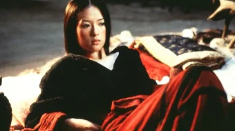 Sirli yo'lbars 1: Yashirin Ajdar / Uzlatdagi Ajdarho 1 / Hilvatdagi ajdar 1 Uzbek tilida 2000 O'zbekcha tarjima kino HD skrinshot 3