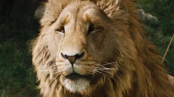 Narniya saltanati 1 Uzbek tilida 2005 O'zbekcha tarjima kino HD skrinshot 1