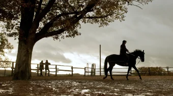 Japplu Uzbek tilida 2013 O'zbekcha tarjima kino HD skrinshot 2
