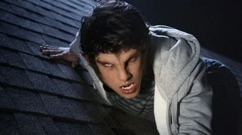 Tungi Bo'rilar / Yosh bo'rilar AQSH seriali Barcha qismlar O'zbek tilida 2011-2017 Uzbekcha tarjima skrinshot 4