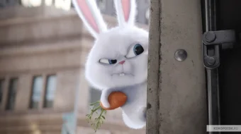 Uy hayvonlarining sirli hayoti 1 Multfilm Uzbek tilida 2016 HD O'zbek tarjima tas-ix skachat skrinshot 3