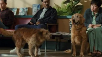 Doktor Dulitl 1998 HD | Доктор Дулиттл 1998 | HD / Doctor Dolittle Tas-IX skachat skrinshot 1