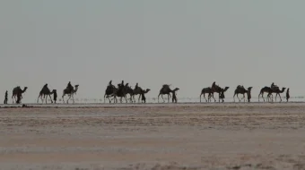 Qora Oltin Uzbek tilida 2011 HD O'zbek tarjima tas-ix skachat skrinshot 2