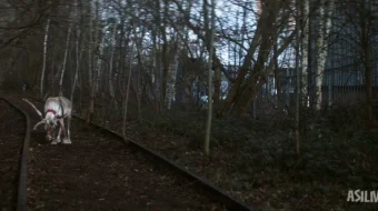 Qorboboni qutqaring / Santaning sarguzashtari 2014 Uzbek tilida O'zbekcha tarjima kino Full HD tas-ix skachat skrinshot 3