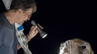 Проклятие «Мэри» 2019 Tas-ix skachat skrinshot 2