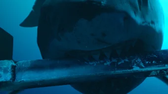 Ummondagi Qo'rquv Uzbek tilida 2023 O'zbekcha tarjima kino HD skrinshot 3