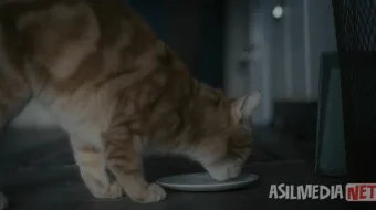 Lyuin Devis ichida Uzbek tilida O'zbekcha 2012 tarjima kino Full HD tas-ix skachat skrinshot 3