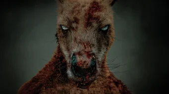 Zombi kenguru ujas kino Uzbek tilida 2024 O'zbekcha tarjima film Full HD skachat skrinshot 1