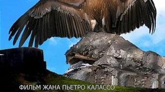 Borjia uzugi Barcha qismlari Uzbek tilida 1991 O'zbekcha tarjima kino HD skrinshot 1