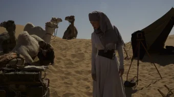 Sahro Malikasi / Cho'l Qirolichasi Uzbek tilida 2014 O'zbekcha tarjima kino HD skrinshot 3