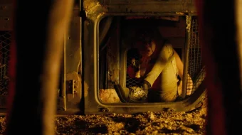 Maxluqlar dunyosi ujas film Uzbek tilida 2017 O'zbekcha tarjima film Full HD skachat skrinshot 4