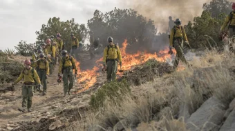 Mardlik / Qahramonlar ishi / Dovyuraklar ishi Uzbek tilida 2017 HD O'zbek tarjima tas-ix skachat skrinshot 2