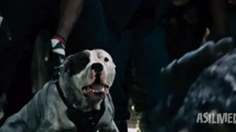 Maxluqlar 2: Qora qit'a / Yirtqichlar 2: Qorong'u makon Britaniya filmi Uzbek tilida 2014 O'zbekcha tarjima kino Full HD tas-ix skachat skrinshot 1