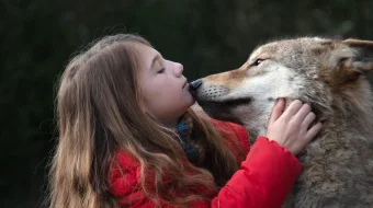 Mening Bo'rim / Bo'ri do'stim Fransiya filmi Uzbek tilida 2022 yil premyera kino O'zbekcha tarjima kino HD skrinshot 4