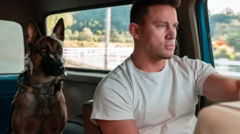 Lulu va Briggs / it / Ko'ppak/ Kuchuk Uzbek tilida 2021 O'zbekcha tarjima film Full HD skachat skrinshot 3