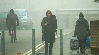 Najotkor Bob / Bob laqabli mushuk Uzbek tilida 2016 O'zbekcha tarjima kino HD skrinshot 1