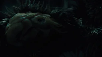 Zamin uchun kurash / Bosqinchilar bilan jang Uzbek tilida 2020 O'zbek tarjima kino skrinshot 1