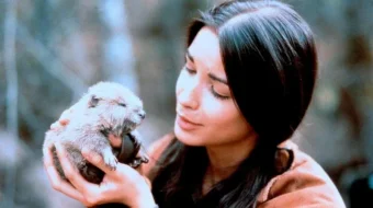 Kulrang Boyqush Uzbek tilida 1998 O'zbekcha tarjima film Full HD skachat skrinshot 1