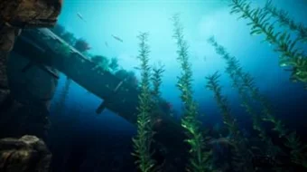 Bermuda - Lost Survival skrinshot 3