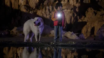 Bell va Sebastyan 4 Uzbek tilida 2022 O'zbekcha tarjima kino HD skrinshot 4