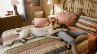 Marli Va Men Uzbek tilida 2008 O'zbekcha tarjima kino HD skrinshot 3