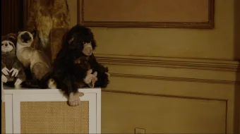 Niqoblangan shimpanze Uzbek tilida 2021 O'zbekcha tarjima film Full HD skachat skrinshot 3