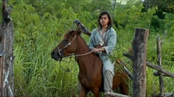 Oltin asoli jangchi Uzbek tilida 2014 O'zbekcha tarjima film Full HD skachat skrinshot 3