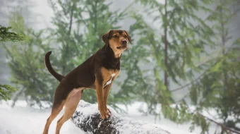 Uyga yo'l / Путь домой HD tas-ix skachat download skrinshot 2