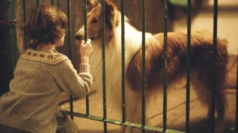 Lessi Uzbek tilida multfilm 2005 O'zbek tarjima kino HD skrinshot 1