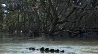 Qora suv 1 Uzbek tilida 2007 O'zbekcha tarjima kino HD skrinshot 1