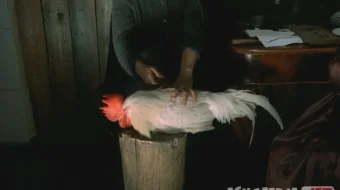 Ko'zgu / Oyna / Andrey Tarkovskiy hayoti 1974 SSSR retro filmi Uzbek tilida O'zbekcha tarjima kino Full HD tas-ix skachat skrinshot 1