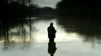 Katta baliq Uzbek tilida 2003 O'zbekcha tarjima film Full HD skachat skrinshot 2