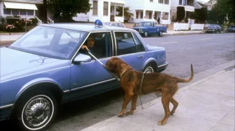 Tyurner va Xuch Uzbek tilida 1989 O'zbekcha tarjima kino HD skrinshot 3