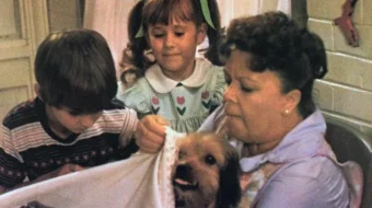 Benji Uzbek tilida 1974 O'zbekcha tarjima kino HD skrinshot 4