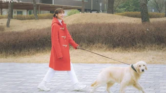 Kutilmagan taklif Barcha qismlar Uzbek tilida 2019 O'zbekcha tarjima HD skrinshot 4