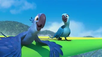 Rio 1 multfilm Uzbek tilida 2011 O'zbekcha tarjima skrinshot 3