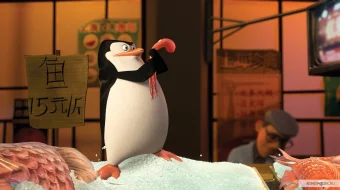 Madagaskar pingvinlari / Madakaskar pinvinlari Barcha qismlar HD Multfilm Uzbek tilida 2008 skrinshot 1