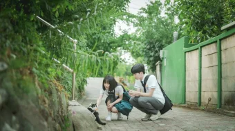 Seni chorlagan vaqt Koreya seriali Barcha qismlar O'zbek tilida 2023 Uzbekcha tarjima skrinshot 2